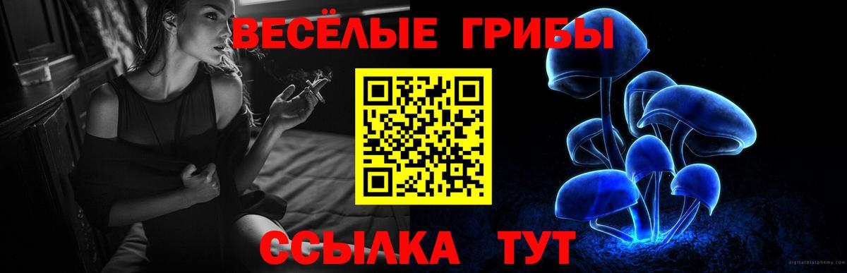 Камышлов  Псилоцибиновые грибы Psilocybine cubensis  Вход с VPN 